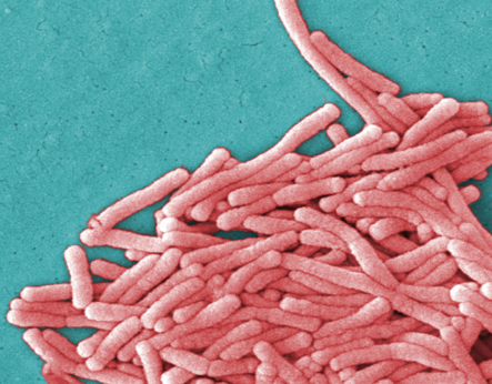 Legionnaires' Disease